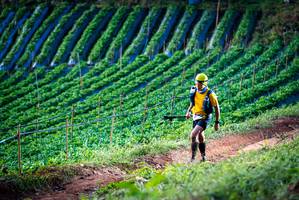 BIB: 
                            <button type="button" onclick="openModal(19159898)" class="btn btn-primary btn-sm float-right btn-popup" data-toggle="modal" data-target=".modal-high-quality">
                        <i class="fas fa-shopping-cart"></i> Add to Cart
                    </button>
                                            <button type="button" onclick="isThisMe(19159898, true)" class="btn btn-success btn-sm float-right btn-popup btn-isme hidden" data-toggle="tooltip" data-placement="bottom" title="นี่คือรูปของคุณใช่ไหม คลิกที่นี่เพื่อเอาเข้าอัลบั้ม">
                        <i class="fas fa-plus"></i> Add to album
                    </button>
                    <button type="button" onclick="isThisMe(19159898, false)" class="btn btn-warning btn-sm float-right btn-popup btn-isnotme hidden">
                        <i class="fas fa-ban"></i> Remove from album
                    </button>